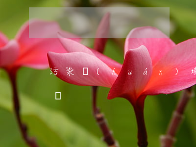 污染環(huán)境罪可以間接存在故意嗎