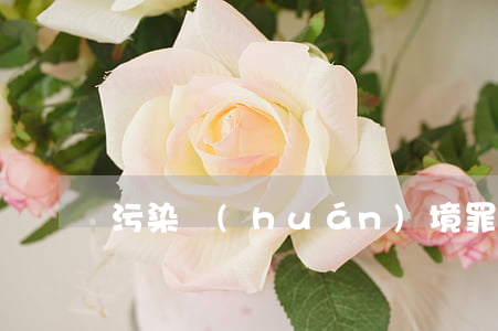 污染環(huán)境罪的共犯怎么處罰