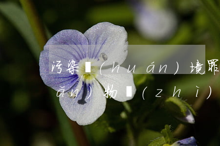 污染環(huán)境罪與投放危險(xiǎn)物質(zhì)罪區(qū)別