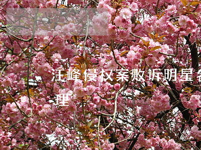 汪峰侵权案败诉,明星名誉权遭到侵犯如何处理