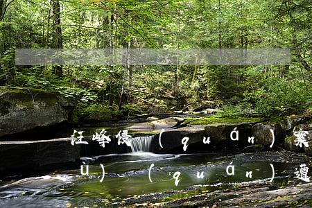 汪峰侵權(quán)案敗訴,明星名譽(yù)權(quán)遭到侵犯如何處理