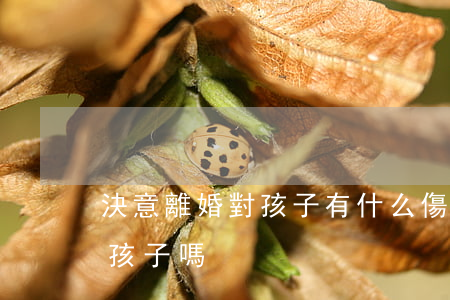 決意離婚對孩子有什么傷害(離婚一定會傷害孩子嗎)