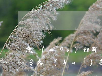 汽貿(mào)公司貸款逾期三天(車貸逾期多久會(huì)被金融公司起訴)