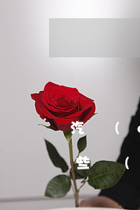 汽車(chē)保險(xiǎn)公司有哪些(車(chē)買(mǎi)保險(xiǎn)哪個(gè)保險(xiǎn)公司好)