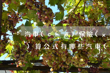 汽車(chē)保險(xiǎn)計(jì)算公式有哪些（汽車(chē)保險(xiǎn)有地域范圍嗎）