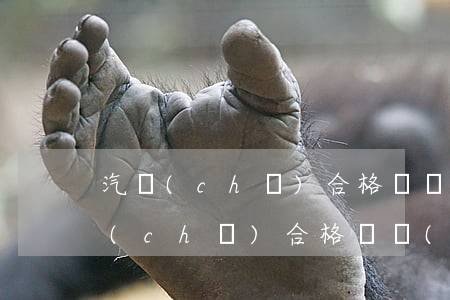 汽車(chē)合格證質(zhì)押(汽車(chē)合格證質(zhì)押在銀行)