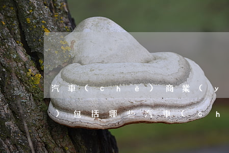 汽車(chē)商業(yè)險(xiǎn)包括哪些 汽車(chē)保險(xiǎn)種類(lèi)是什么