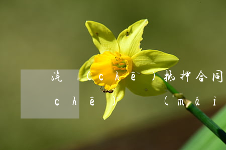汽車(chē)抵押合同詐騙案例(抵押車(chē)簽買(mǎi)賣(mài)合同是否構(gòu)成詐騙)