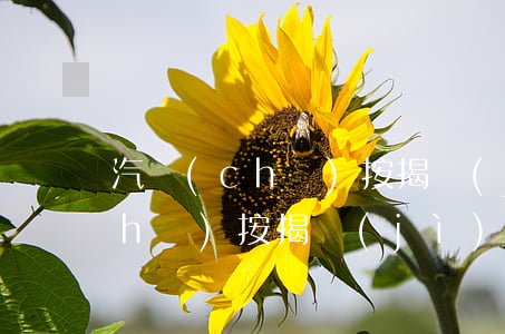 汽車(chē)按揭計(jì)算，汽車(chē)按揭計(jì)算器