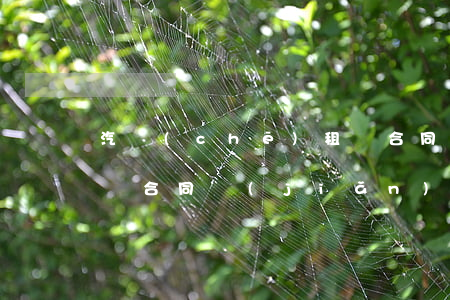 汽車(chē)租賃合同(汽車(chē)租賃合同簡(jiǎn)單版)