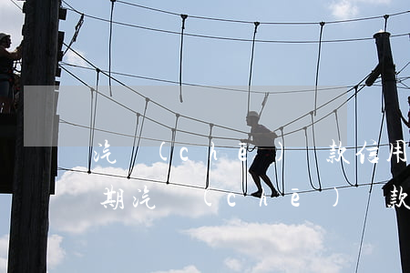 汽車(chē)貸款信用卡有逾期(信用卡逾期汽車(chē)貸款不能辦了是嗎?)