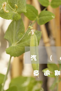 汽車(chē)違章逾期 汽車(chē)違章逾期滯納金怎么算