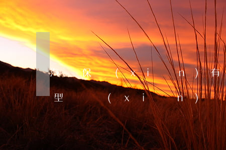 汽車保險(xiǎn)有哪幾個(gè)類型（車險(xiǎn)賠償包括哪些項(xiàng)目）