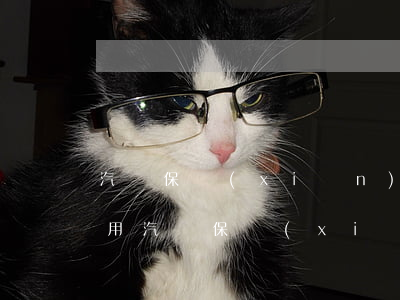 汽車保險(xiǎn)種類及費(fèi)用（汽車保險(xiǎn)須知）