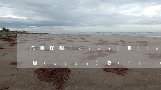 汽車保險(xiǎn)費(fèi)(汽車保險(xiǎn)費(fèi)率表)