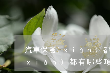 汽車保險(xiǎn)都有哪些(汽車保險(xiǎn)都有哪些項(xiàng)目)