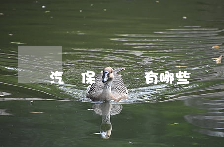汽車保險種類有哪些(車險種類)