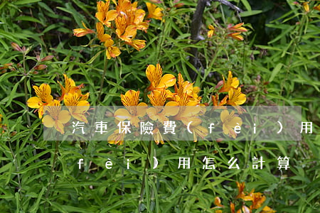 汽車保險費(fèi)用怎么算(車保險費(fèi)用怎么計算)