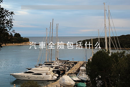 汽車全險包括什么
