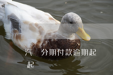 汽車分期付款逾期起訴書(汽車分期付款逾期起訴書)
