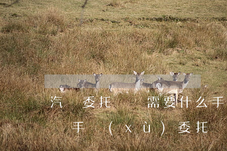 汽車委托過戶需要什么手續(xù)(車輛過戶手續(xù)委托書怎么寫)