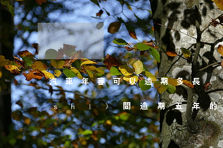 汽車年審可以逾期多長(zhǎng)時(shí)間（逾期五年的車還能年審嗎）