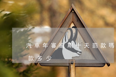 汽車年審逾期十天罰款嗎6(車款逾期十天罰款多少)