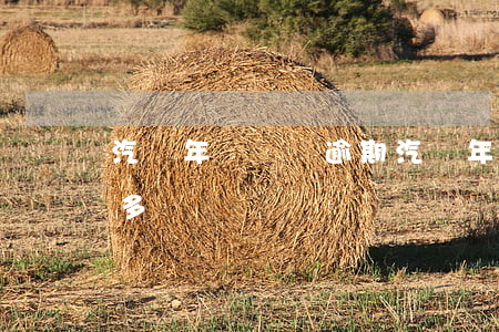 汽車年檢時間逾期(汽車年檢逾期三個周期是多長時間)