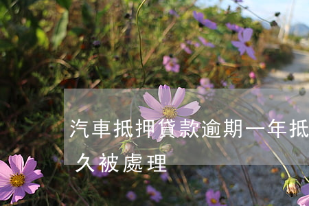 汽車抵押貸款逾期一年(抵押車輛一般逾期多久被處理)