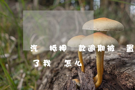 汽車抵押貸款逾期被處置(車抵押逾期被處理了我該怎么辦)