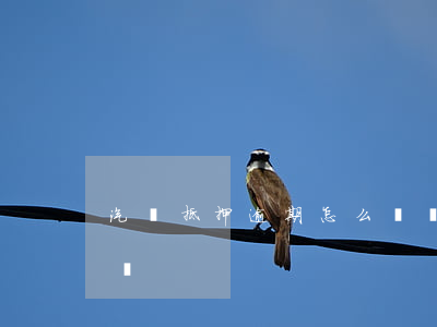 汽車抵押逾期怎么辦(車抵押貸款逾期了怎么辦)