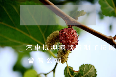 汽車抵押還款逾期了(按揭車抵押了逾期不還會怎么辦)