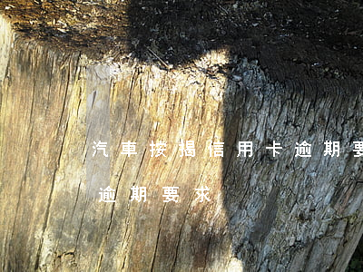 汽車按揭信用卡逾期要求-汽車按揭信用卡逾期要求