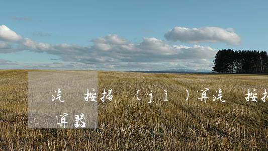 汽車按揭計(jì)算，汽車按揭計(jì)算器