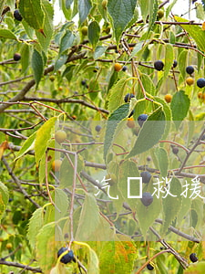 汽車救援合作協(xié)議