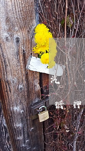 汽車有貸款法院可以拍賣嗎(法院拍賣車輛有抵押怎么辦)
