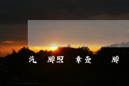 汽車牌照違章查詢(車牌號交通違章查詢)