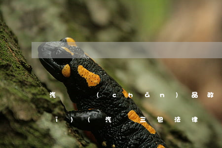 汽車產(chǎn)品政策法律法規(guī)(汽車三包法律規(guī)定)