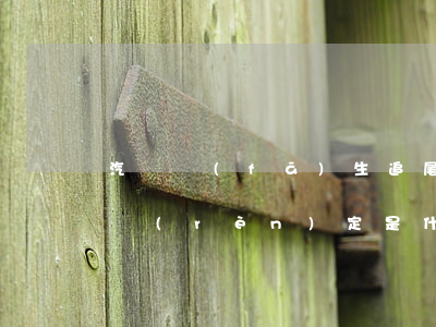 汽車發(fā)生追尾事故的責(zé)任認(rèn)定是什么