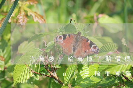 汽車被三輪車撞了賠償標(biāo)準(zhǔn)(三輪車撞傷人怎么理賠)