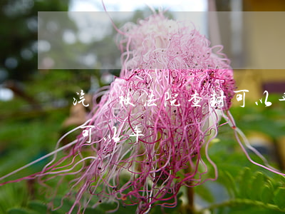 汽車被法院查封可以年檢嗎(汽車被法院查封可以年檢嗎)