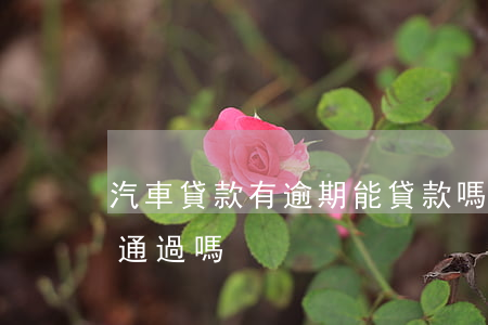 汽車貸款有逾期能貸款嗎(有逾期買車貸款能通過嗎)