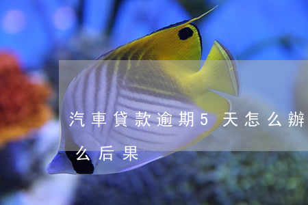 汽車貸款逾期5天怎么辦(車貸逾期15天什么后果)