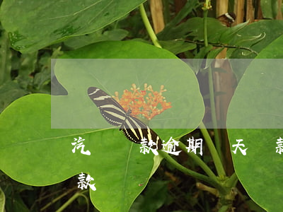 汽車貸款逾期兩天還款(車貸逾期兩天怎么還款)