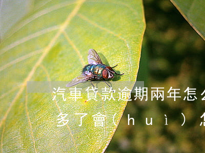 汽車貸款逾期兩年怎么還(車貸要是逾期兩年多了會(huì)怎樣)