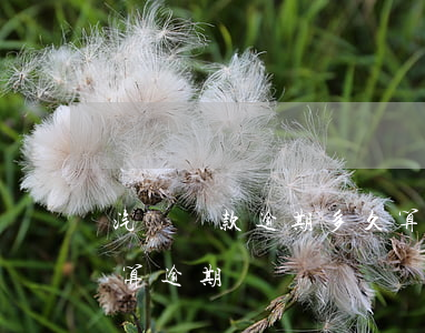 汽車貸款逾期多久算違約(汽車貸款超過幾天算逾期)