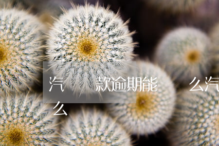 汽車貸款逾期能搶車么(汽車貸款逾期能搶車么)