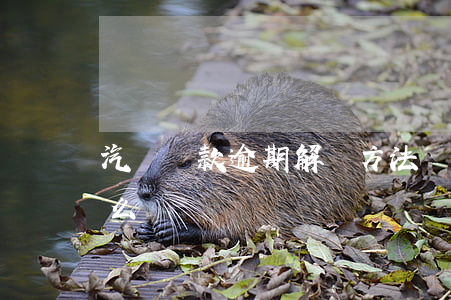 汽車貸款逾期解決方法(車貸不小心逾期了怎么辦)