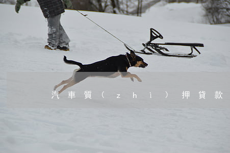 汽車質(zhì)押貸款