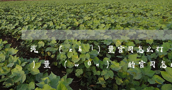 汽車質(zhì)量官司怎么打(質(zhì)量問(wèn)題的官司怎么打)